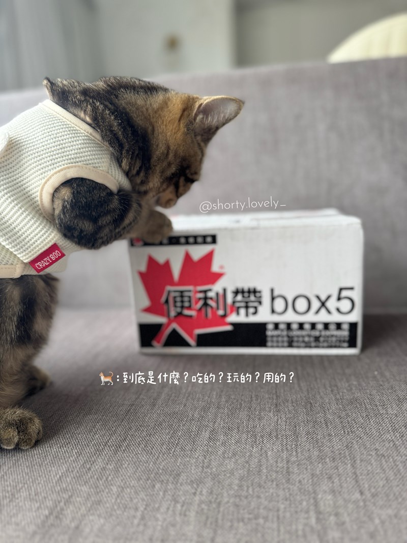 女人知己試用大隊,口碑行銷,部落客行銷,PURRFACT 波菲特貓用主食罐,主食罐,PURRFACT波菲特,貓主食罐,貓罐,PURRFACT波菲特貓用主食罐,魚肉蔓越莓主食罐,鮮嫩雞主食罐,鹿肉雞肉主食罐,牛肉鵪鶉貓主食罐,干貝蠶蛹配方,鱷魚肉白木耳配方,雞肉魚肉配方,安心鶉配方,評價,體驗,適口性佳,心得,成貓適用,高齡貓適用,質地是慕絲狀